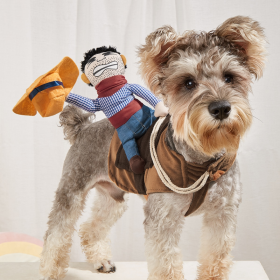 Cowboy Rider Pet Costume, Funny Dog Costume For Small Medium Dogs & Cats, Pet Clothes - Mixed Color - S