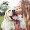 Dr. Pol Cat and Dog Deodorant Spray, Cucumber Melon Fragrance 8 oz - Dr. Pol